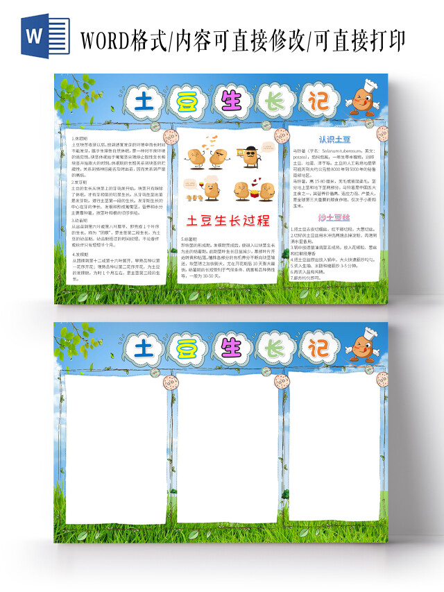 蓝色卡通土豆生长记小报