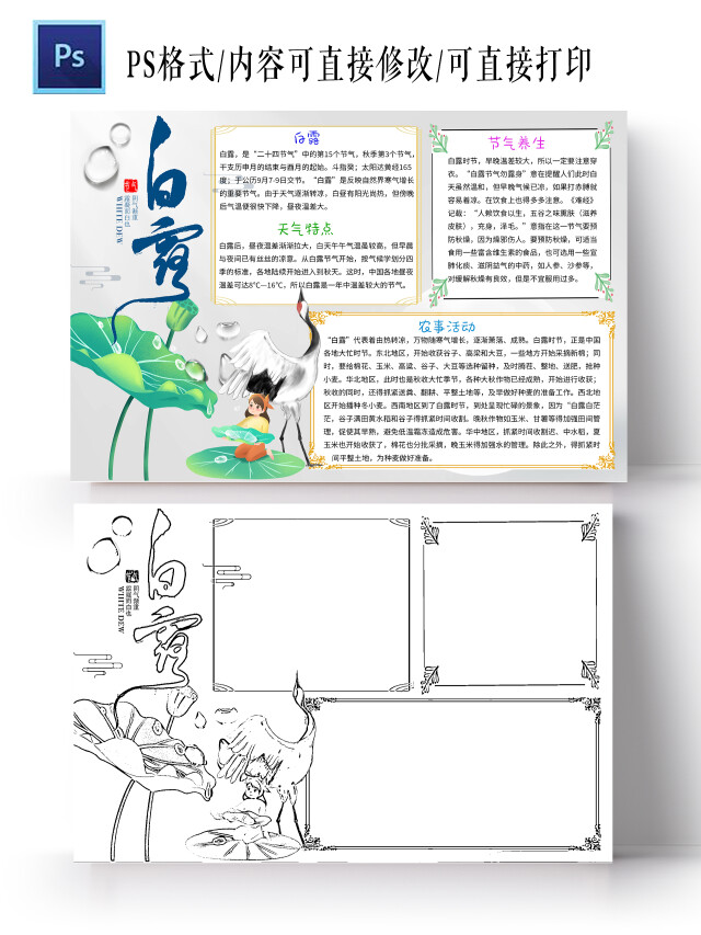 白色清新白露小学生手抄报白露小报手抄报清新小报手抄报