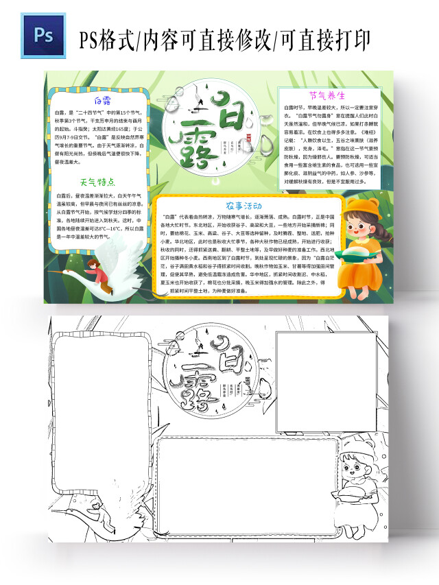 绿色清新白露小学生手抄报白露小报手抄报清新小报手抄报