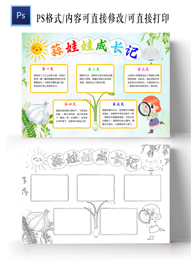 浅绿色卡通蒜娃娃成长记蒜苗植物生长小学生手抄报卡通小报手抄报