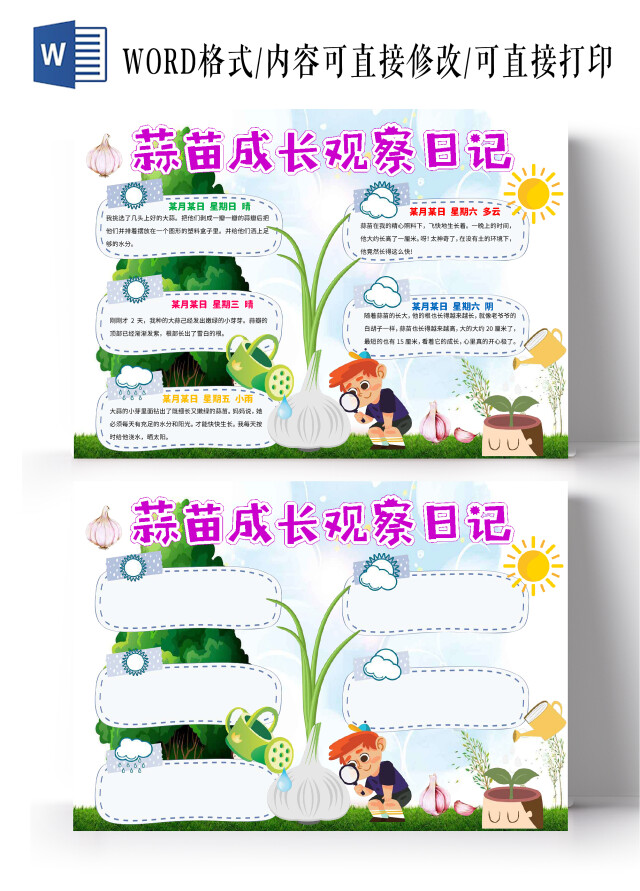 绿白色卡通蒜苗成长观察日记蒜苗植物生长小报手抄报卡通小报