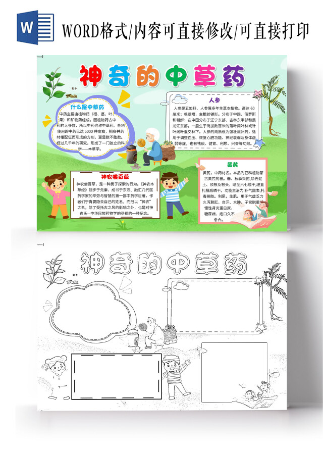 绿色卡通神奇的中草药中草药卡通小报手抄报