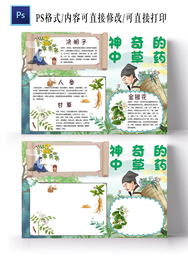 绿色古风神奇的中草药小报手抄报