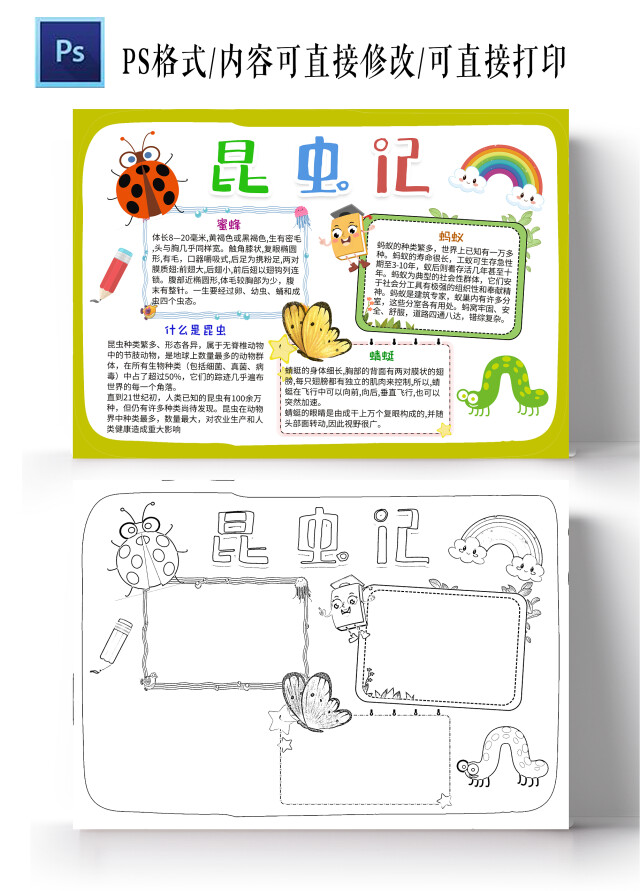 白色卡通昆虫记小学生手抄报小报