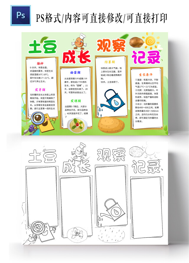 绿色卡通土豆成长观察记录土豆小学生手抄报卡通小报手抄报
