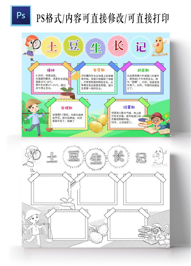 蓝色卡通土豆生长记土豆小学生手抄报小报