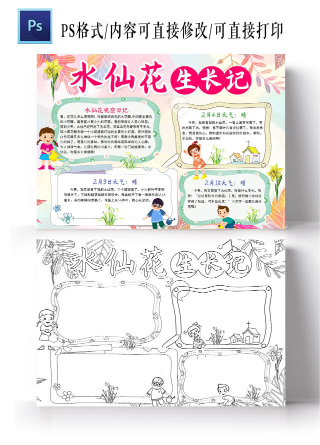 粉色卡通 水仙花生长记 水仙花小报手抄报 卡通小报手抄报