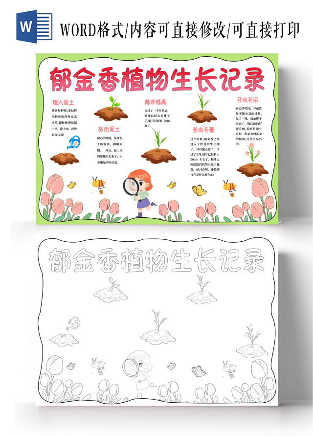 绿色边框手绘郁金香植物生长记录小报手抄报卡通小报手抄报植物植物植物生长