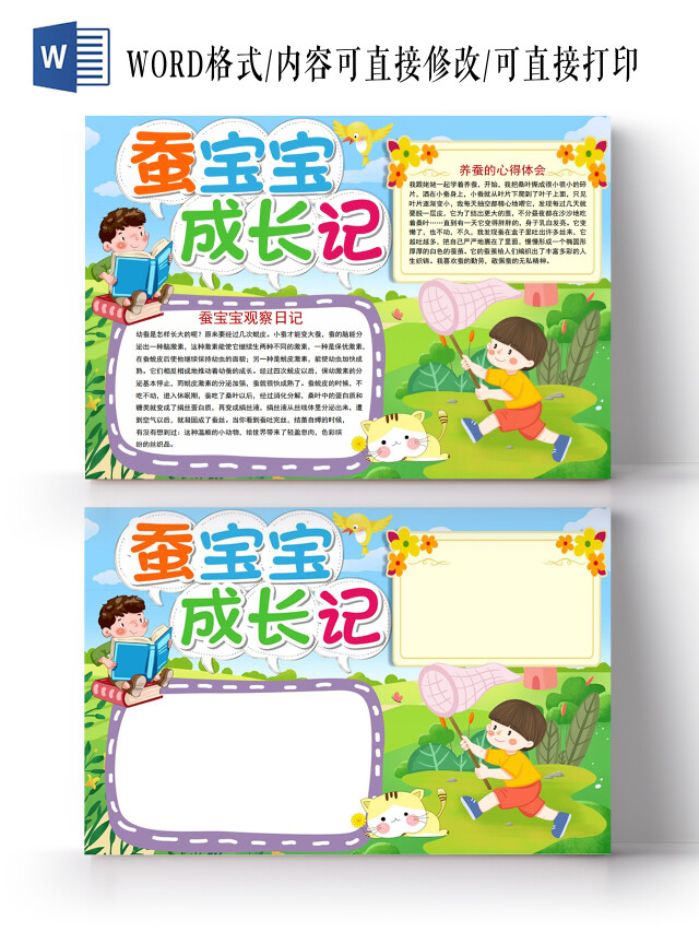 蚕宝宝成长记小报手抄报蚕宝宝观察日记