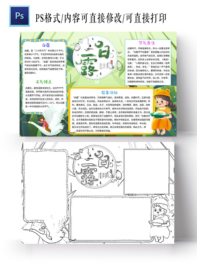 绿色清新白露小学生手抄报白露小报手抄报清新小报手抄报
