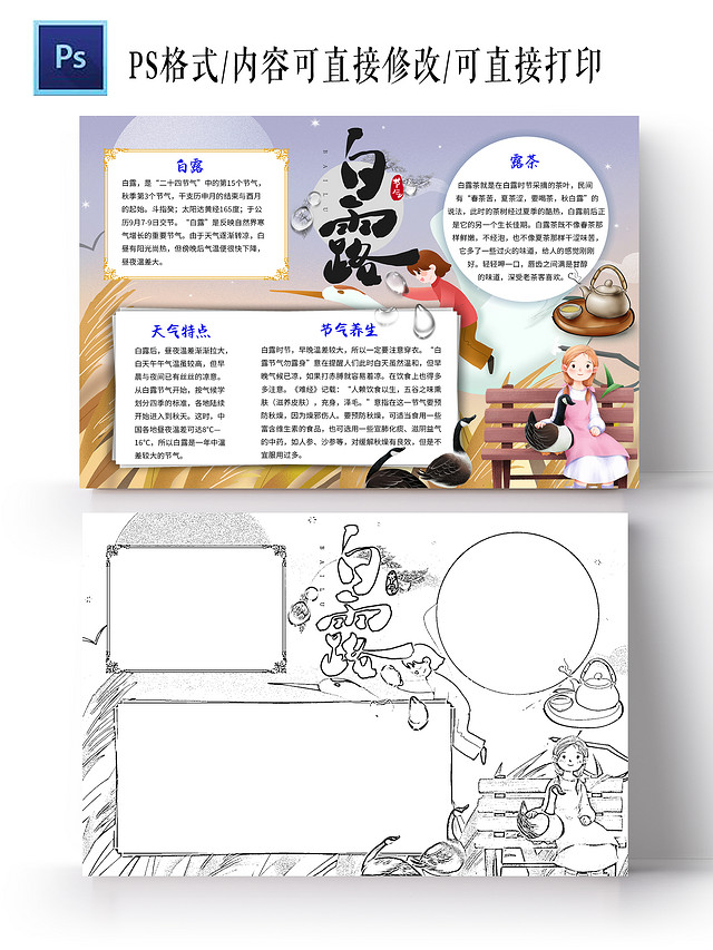 紫色清新白露小学生手抄报白露小报手抄报清新小报手抄报