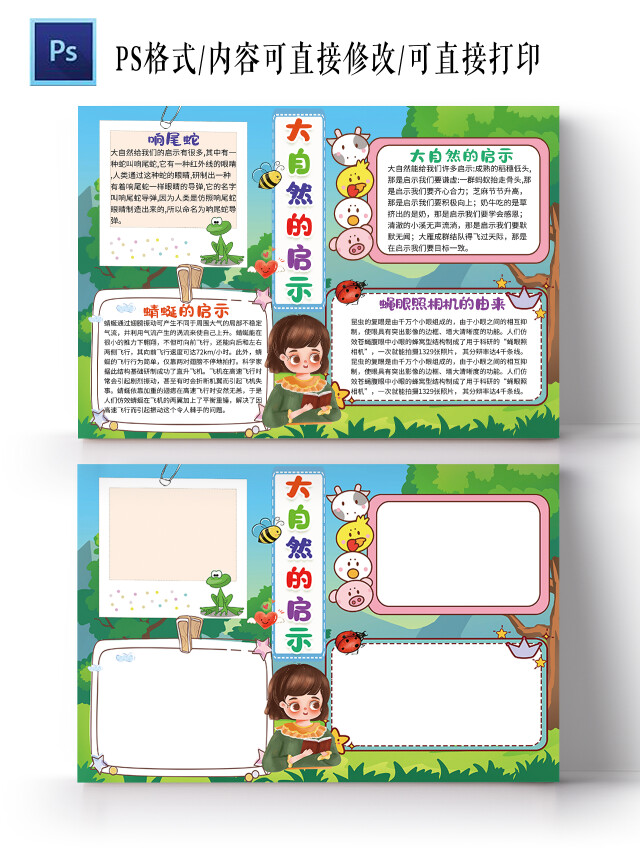 昆虫记自然笔记大自然的启示蔬菜种植观察日记小报手抄报