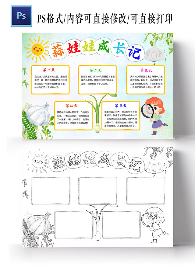 浅绿色卡通蒜娃娃成长记蒜苗植物生长小学生手抄报卡通小报手抄报