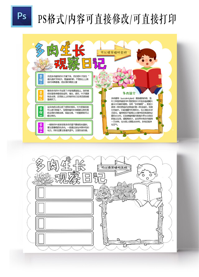 白色卡通多肉生长观察日记小学生手抄报小报多肉植物生长
