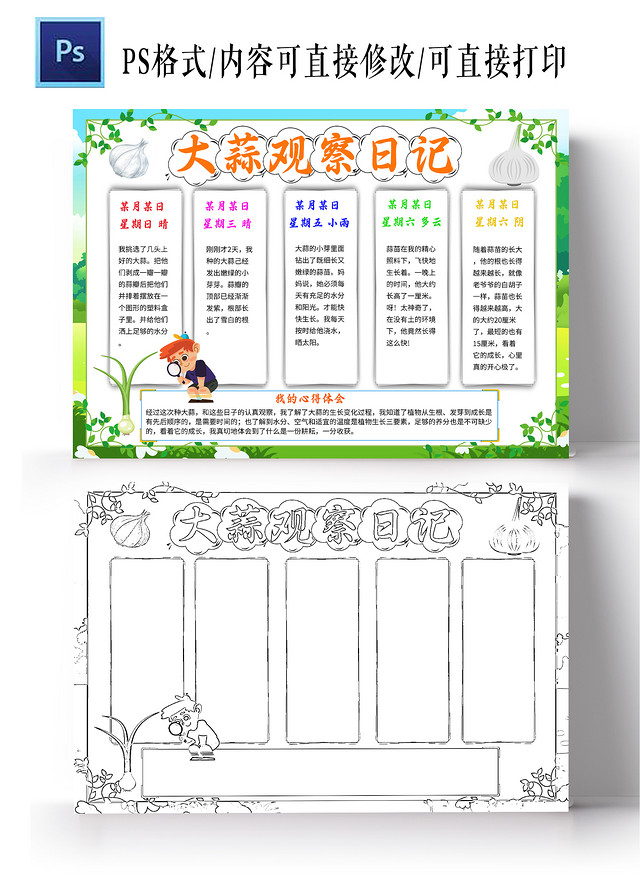 浅绿色卡通大蒜观察日记蒜苗植物生长小学生手抄报卡通小报手抄报