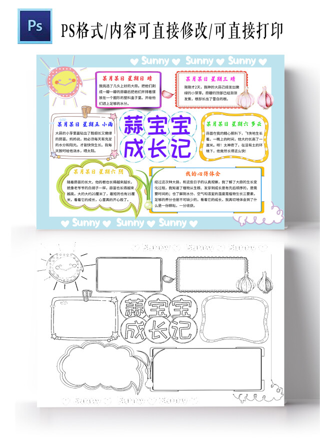 浅蓝色卡通蒜宝宝成长记蒜苗植物生长小学生手抄报卡通小报手抄报