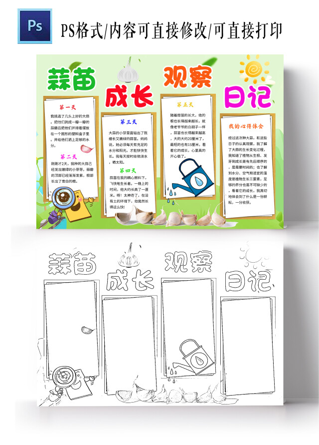 浅绿色卡通蒜苗成长观察日记蒜苗植物生长小学生手抄报卡通小报