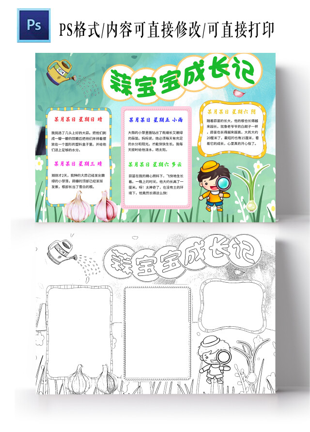 浅绿色卡通蒜宝宝成长记蒜苗植物生长小学生手抄报卡通小报手抄报