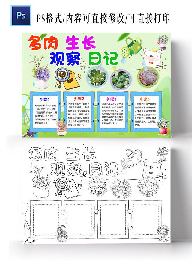 绿色卡通多肉生长观察日记多肉植物生长小学生手抄报卡通小报