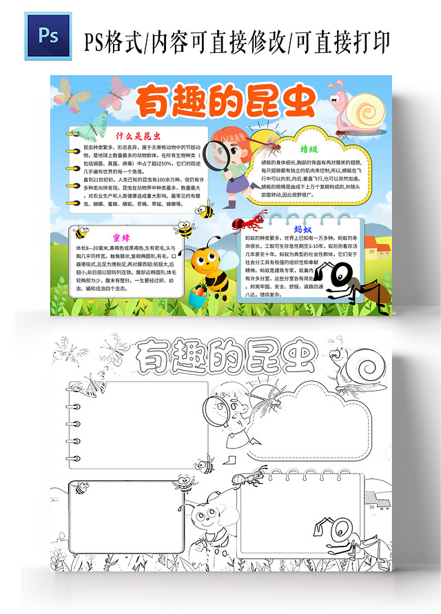 绿色卡通有趣的昆虫昆虫小学生手抄报卡通小报手抄报