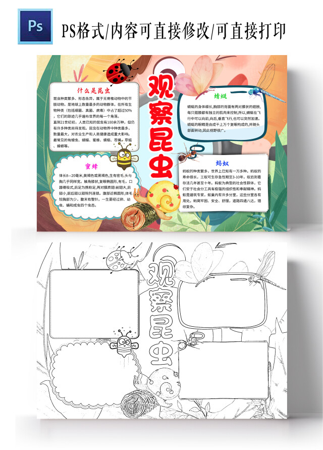 绿色卡通观察昆虫昆虫小学生手抄报卡通小报手抄报