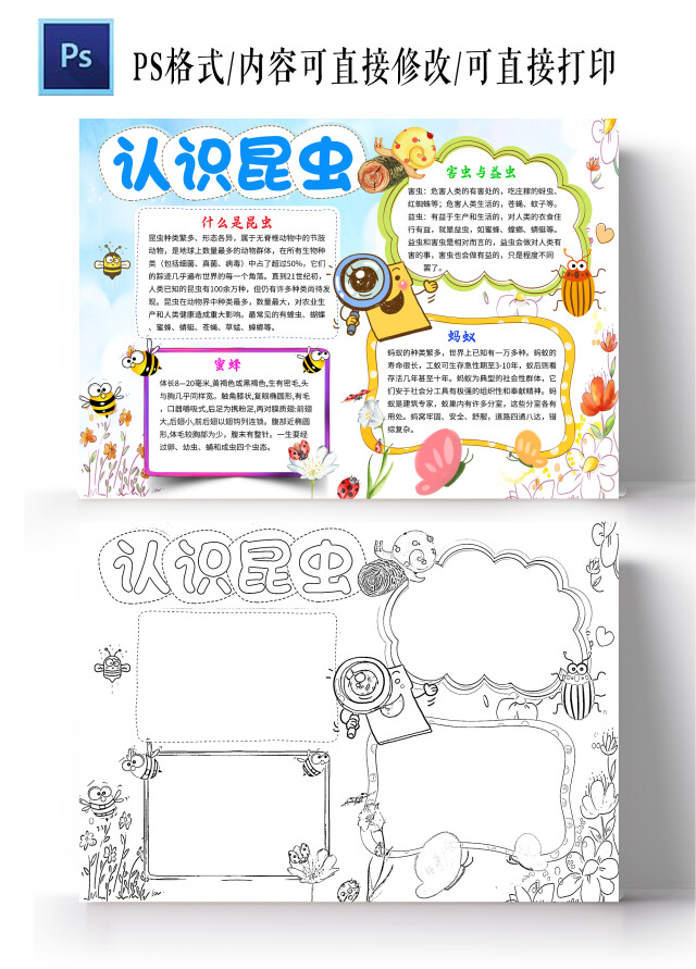 蓝色卡通认识昆虫昆虫小学生手抄报卡通小报手抄报