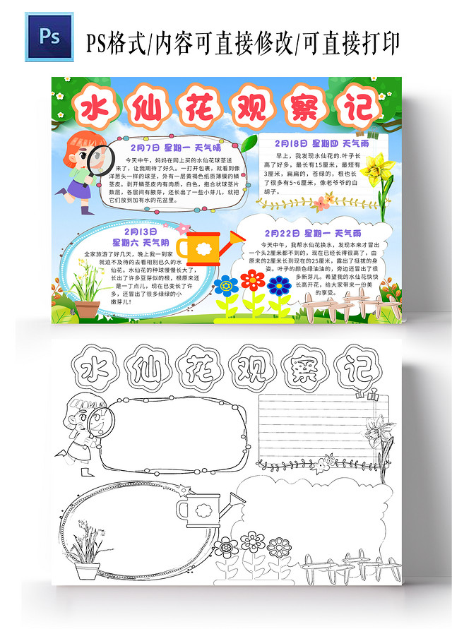 蓝色卡通水仙花种植小报手抄报小学生手抄报