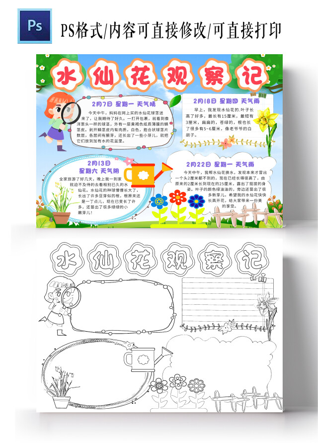 蓝色卡通水仙花种植小报手抄报小学生手抄报