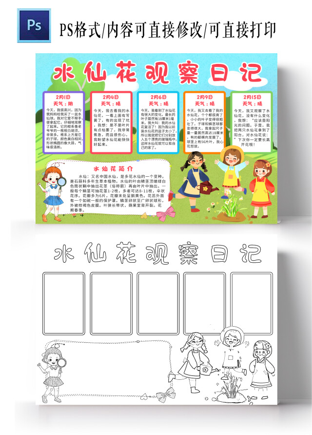 蓝色卡通水仙花观察日记小报手抄报小学生手抄报