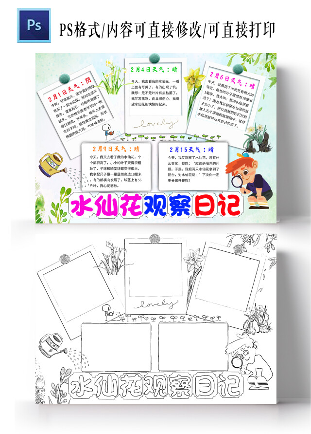 绿色卡通水仙花观察日记水仙花小学生手抄报卡通小报手抄报