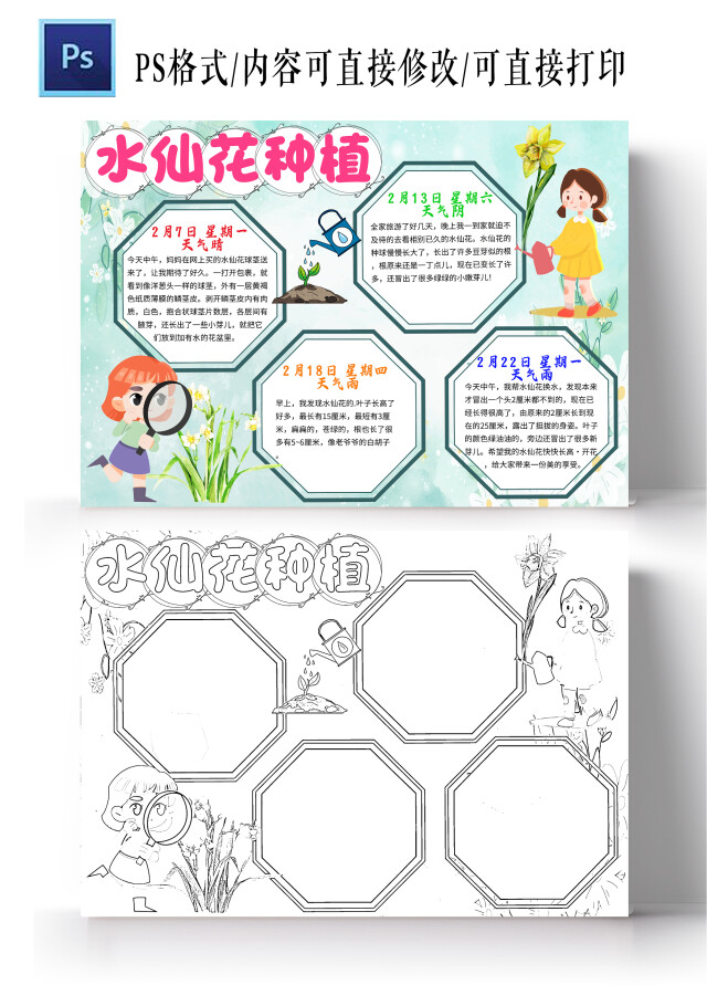 绿色卡通水仙花种植水仙花小学生手抄报卡通小报手抄报