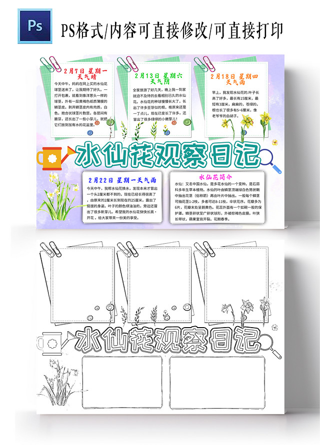 紫色卡通水仙花观察日记水仙花小学生手抄报卡通小报手抄报