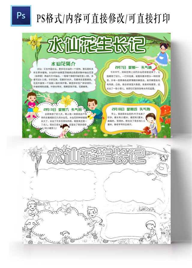 绿色卡通 水仙花生长记 水仙花生长记小报手抄报