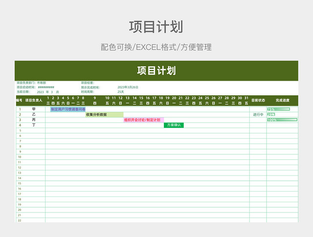 项目计划
