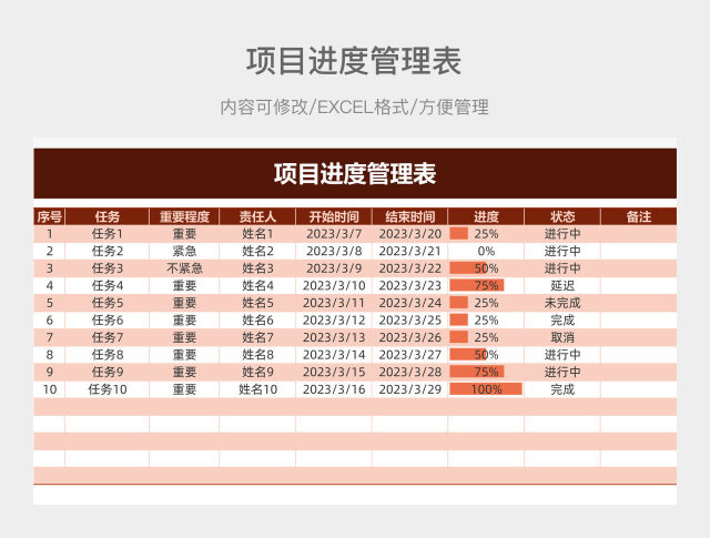 项目进度管理表