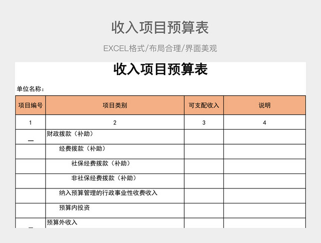 收入项目预算表