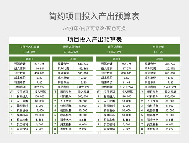 简约项目投入产出预算表