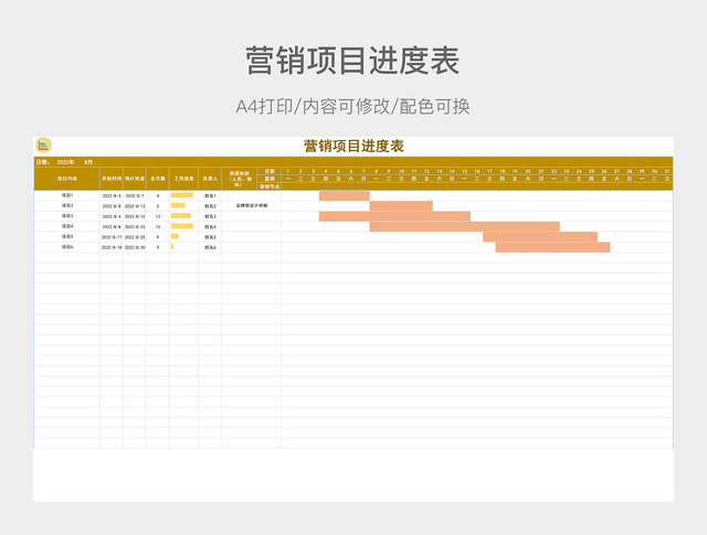 彩色简约营销项目进度表