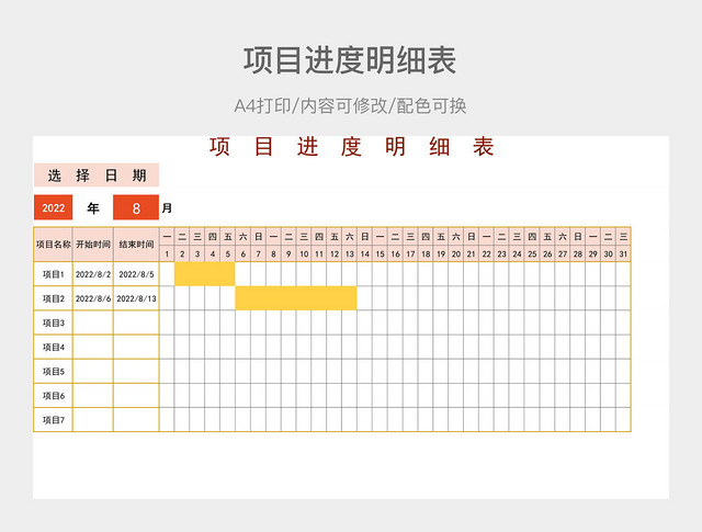 项目进度明细表