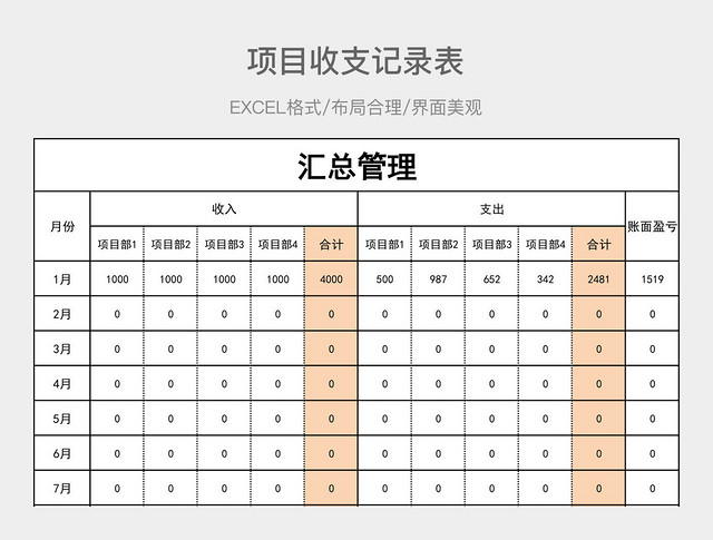 项目收支记录表