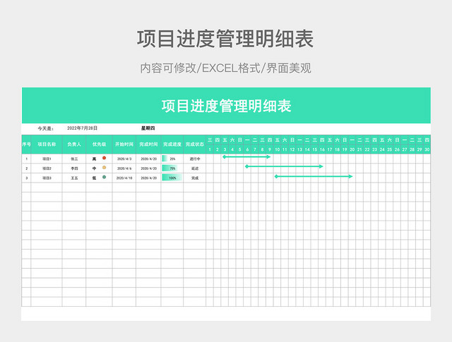 项目进度管理明细表