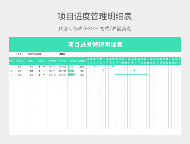 项目进度管理明细表