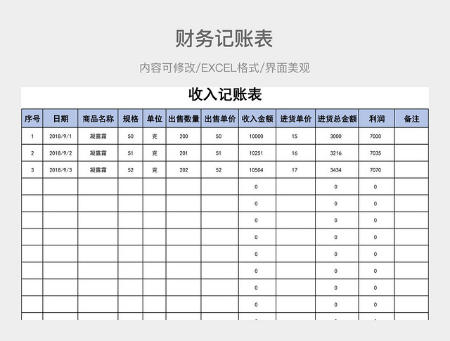 财务记账表