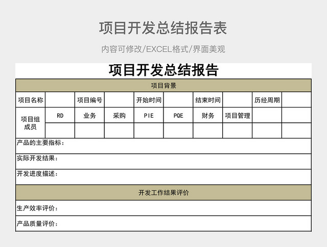 项目开发总结报告表