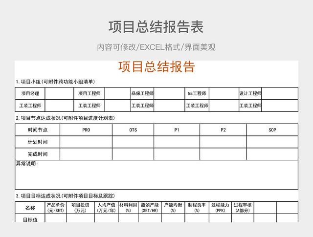 项目总结报告表