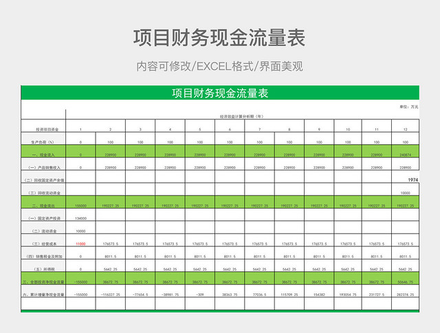 项目财务现金流量表　