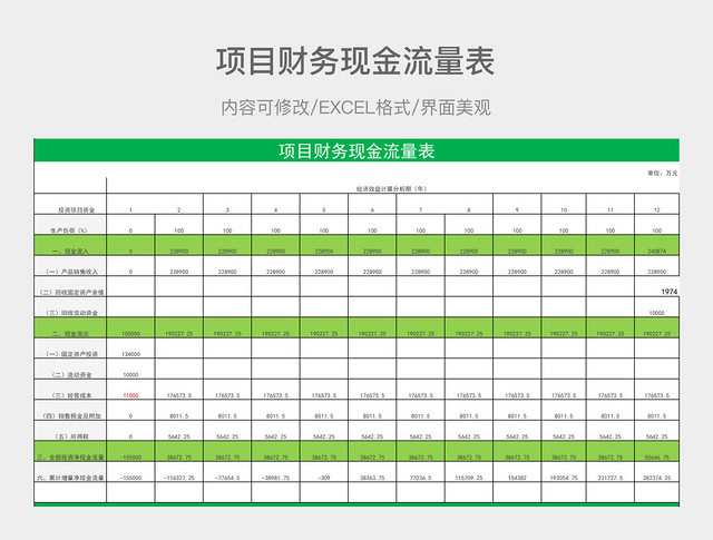 项目财务现金流量表　