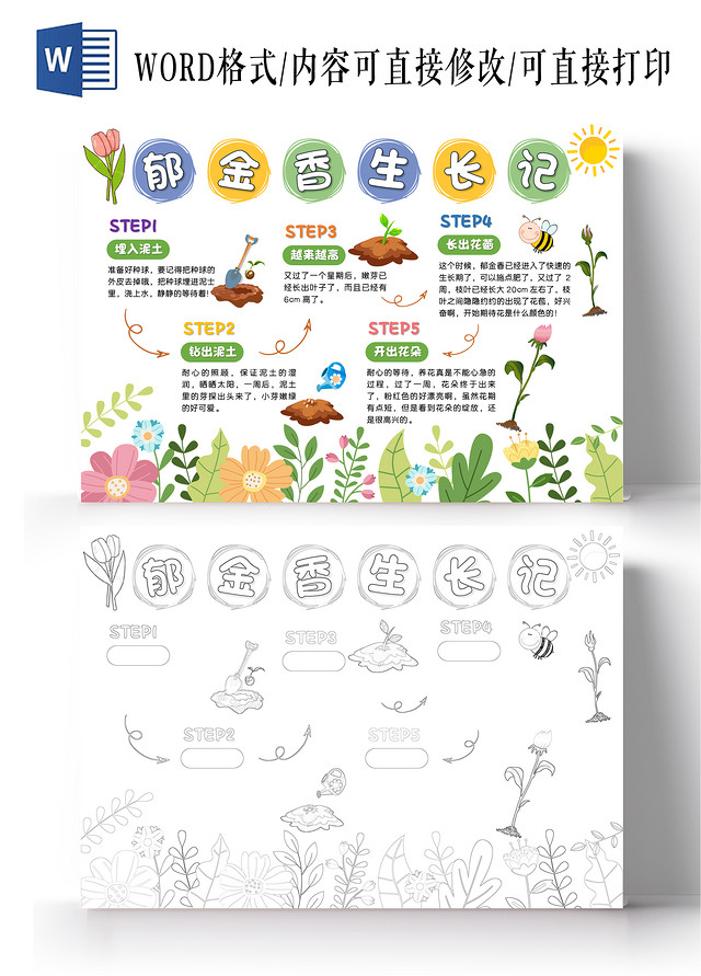 彩色卡通郁金香生长记小学生手抄报卡通小报手抄报植物植物生长
