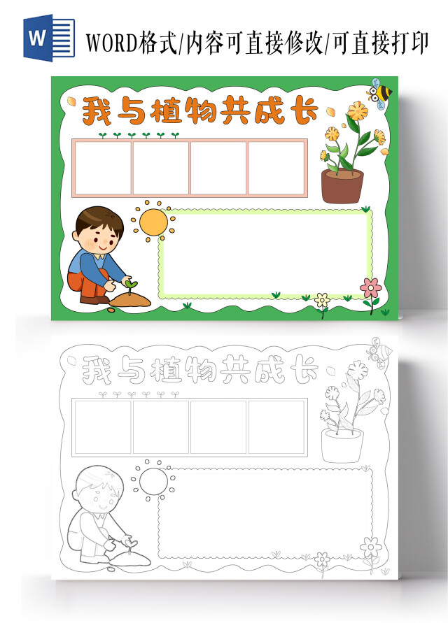 小清淅我与植物共成长手抄报植物植物生长